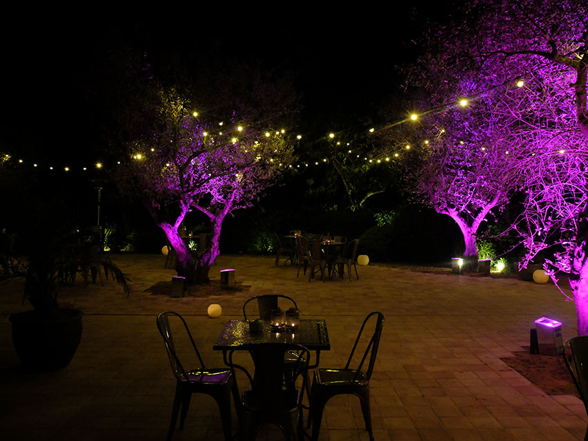 BODA HINDU – 1ª Parte